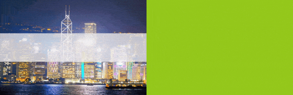 WOO Annual Congress Hong Kong 2024